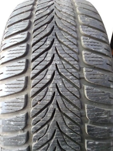 Шины Sava Eskimo HP 205/55 R16 91H б/у 5