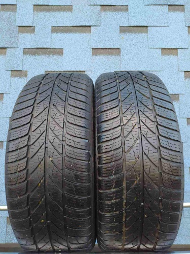 Шины Gislaved Euro Frost 5 195/55 R15 -- б/у 5