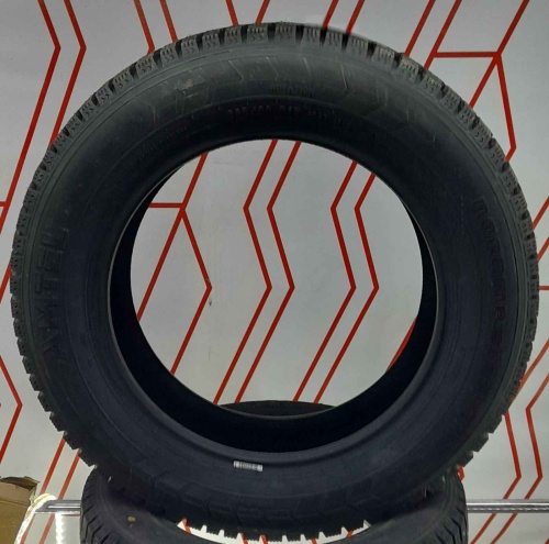 Шины Amtel NordMaster Evo 215/55 R17 98T